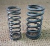 Valve Springs - Double